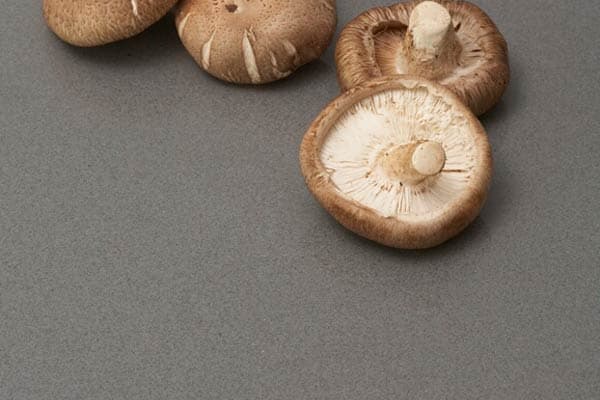 Quarzkomposit Arbeitsplatte I LEATHER LOOK